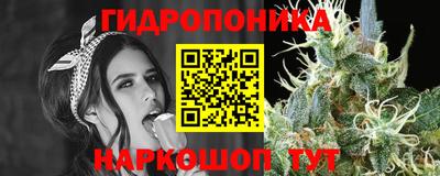 МДПВ Волжск
