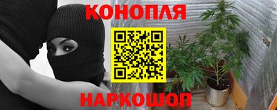 МДПВ Волжск