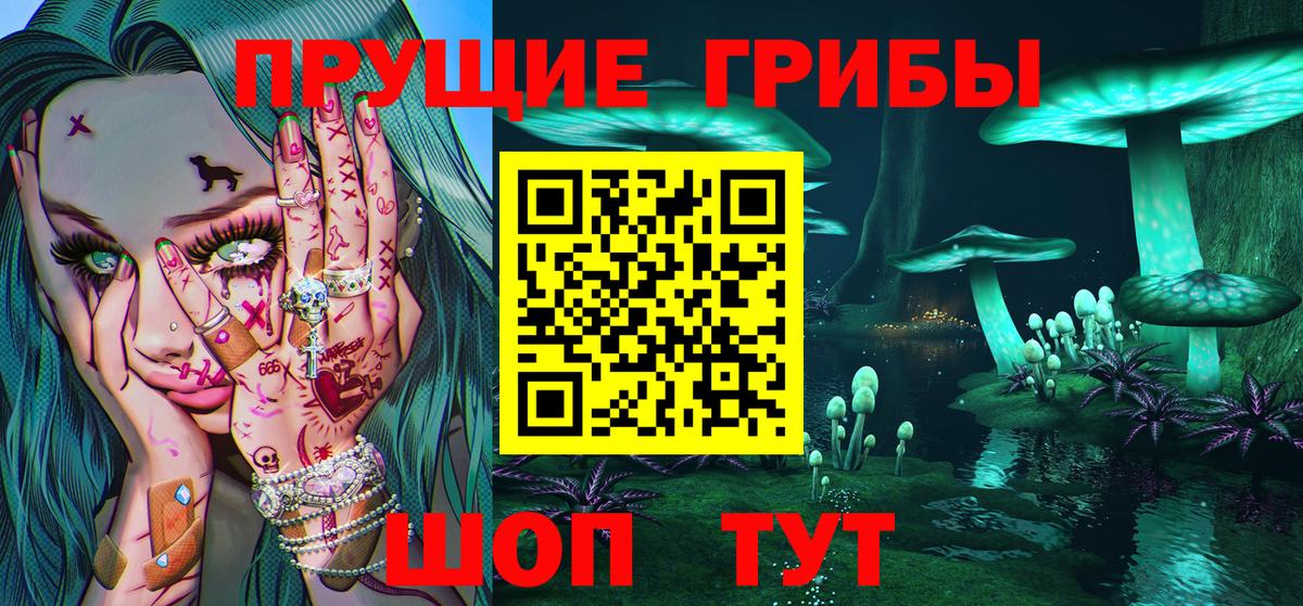 Галлюциногенные грибы Psilocybine cubensis  Вход с VPN  Жигулёвск 