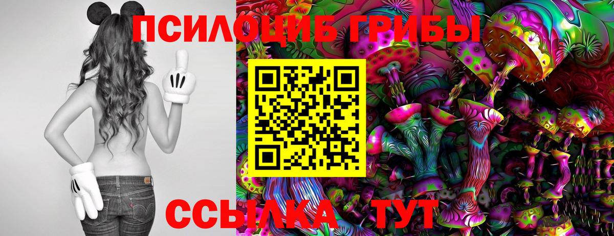 Псилоцибиновые грибы MAGIC MUSHROOMS Жигулёвск