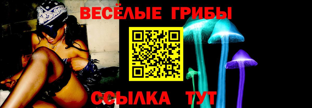 Галлюциногенные грибы GOLDEN TEACHER Жигулёвск